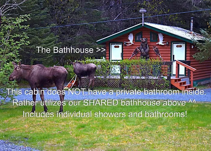 Alaska Creekside Cabins In Seward